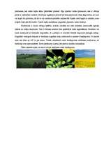Research Papers 'Bioetanols un biodegviela', 3.
