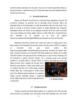 Research Papers 'Karnevālu nozīme dažādu tautu kultūrās', 5.