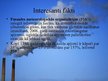 Presentations 'Atmosfēru piesārņojošās gāzes', 10.