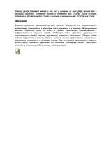 Research Papers 'Скелет человека', 3.