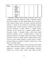 Research Papers 'Starptautiskā projekta COMENIUS I nozīmība Ilmāra Gaiša Kokneses vidusskolā', 67.