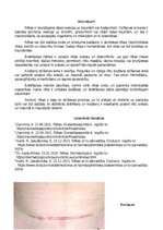 Research Papers 'Rētas', 6.