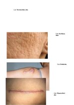 Research Papers 'Rētas', 7.