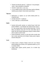 Practice Reports 'Skolotāja prakse pirmsskolā', 13.