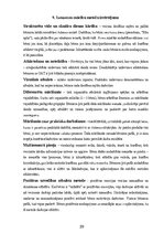 Practice Reports 'Skolotāja prakse pirmsskolā', 29.