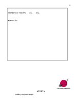 Term Papers 'Personāla motivācijas sistēmas analīze un pilnveidošana VSIA "Latvijas Koncerti"', 71.