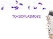 Presentations 'Toksoplazmoze', 1.