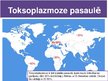 Presentations 'Toksoplazmoze', 4.