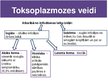 Presentations 'Toksoplazmoze', 6.