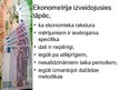 Presentations 'Ekonometrija', 7.