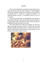 Research Papers 'Kviešu maize ar kukurūzas putraimiem', 3.