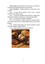 Research Papers 'Kviešu maize ar kukurūzas putraimiem', 5.
