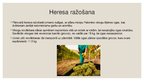 Presentations 'Spāņu alkoholisko dzērienu ražošana un lietošanas tradīcijas', 13.