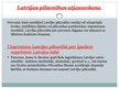 Presentations 'Latvijas pilsonība', 6.
