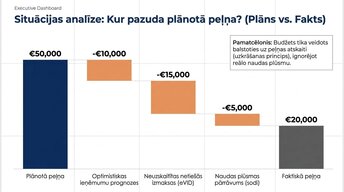 Presentations 'Kļūdas budžeta plānošanā mazajā biznesā un uzņēmuma budžeta uzlabošana', 8.