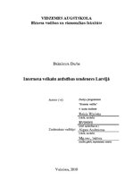 Term Papers 'Interneta veikalu attīstības tendences Latvijā', 1.