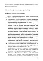 Term Papers 'Interneta veikalu attīstības tendences Latvijā', 19.