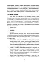 Term Papers 'Informācijas sistēmu ieviešanas problēmas un risinājumi ', 15.