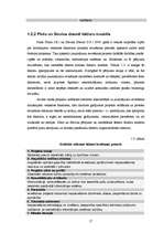 Term Papers 'Informācijas sistēmu ieviešanas problēmas un risinājumi ', 17.