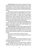 Term Papers 'Informācijas sistēmu ieviešanas problēmas un risinājumi', 33.