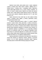 Term Papers 'Informācijas sistēmu ieviešanas problēmas un risinājumi ', 51.