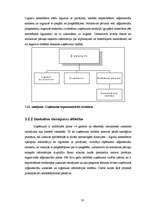 Term Papers 'Informācijas sistēmu ieviešanas problēmas un risinājumi ', 58.