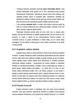 Term Papers 'Informācijas sistēmu ieviešanas problēmas un risinājumi', 73.