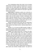 Term Papers 'Informācijas sistēmu ieviešanas problēmas un risinājumi ', 76.