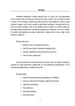 Research Papers 'Biznesa plānam izvēlētās nozares un produkta analīze', 3.