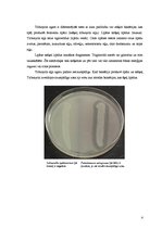 Research Papers 'Barotnes un testi, ko var izmantot G.Staphylococcus selekcijai un diferencēšanai', 4.