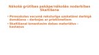 Presentations 'Studiju kurss «Pirmsskolas speciālā pedagoģija» Praktiskais darbs «Matemātisko p', 10.