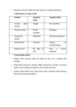 Summaries, Notes 'Ģimenes tiesības: laulība, šķiršana pie notāra un tiesā, likumiska un ligimiska ', 18.