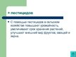 Presentations 'Экологически чистые продукты в Латвии. Презентация', 4.