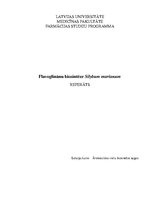 Research Papers 'Flavoglinānu biosintēze mārdadzī (Silybum marianum)', 1.