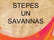 Presentations 'Stepes un savannas', 1.