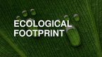 Presentations 'Ecological Footprint', 1.