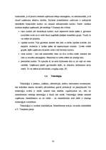 Term Papers 'Degvielas uzpildes stacijas SIA “Gotika Auto” pakalpojumu asortimenta optimizāci', 34.