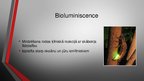 Presentations 'Luminiscence', 3.