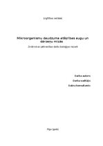 Research Papers 'Mikroorganismu daudzveidība dažādās augu mizās', 1.