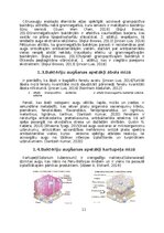 Research Papers 'Mikroorganismu daudzveidība dažādās augu mizās', 8.