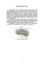 Research Papers 'Magnija sulfāta ietekme uz tritikāles agrīno attīstību', 7.