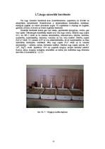 Research Papers 'Magnija sulfāta ietekme uz tritikāles agrīno attīstību', 10.