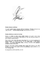 Research Papers 'Kaķi - veterinārā rokasgrāmata dzīvnieku īpašniekiem', 12.