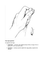 Research Papers 'Kaķi - veterinārā rokasgrāmata dzīvnieku īpašniekiem', 16.