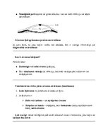 Research Papers 'Kaķi - veterinārā rokasgrāmata dzīvnieku īpašniekiem', 22.