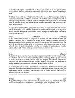 Research Papers 'Kaķi - veterinārā rokasgrāmata dzīvnieku īpašniekiem', 33.