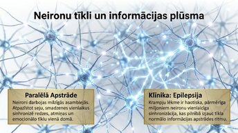 Presentations 'Centrālā nervu sistēma', 11.