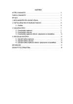 Research Papers 'Cēsu pilsētas pašvaldības budžeta analīze', 1.