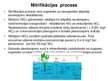 Presentations 'Slāpekļa aprite hidroekosistēmās', 12.