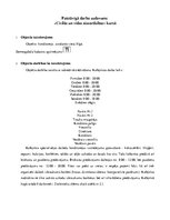 Research Papers 'Civilā un vides aizsardzība', 1.